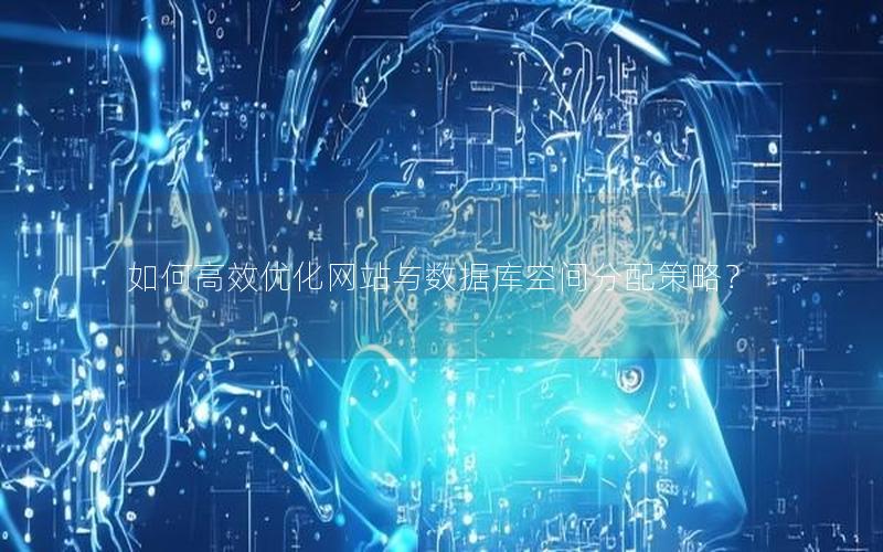如何高效优化网站与数据库空间分配策略?