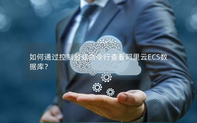 如何通过控制台或命令行查看阿里云ECS数据库？