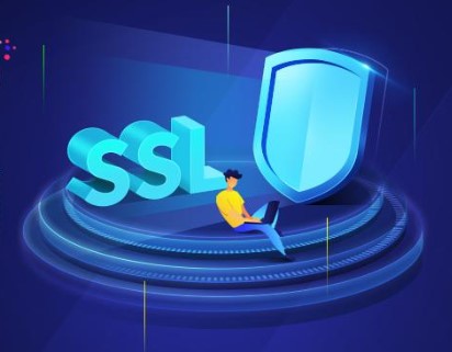 DigiCert SSL证书DNS验证失败原因分析及解决方法