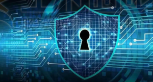 什么是域名隐私保护 如何获得域名隐私保护