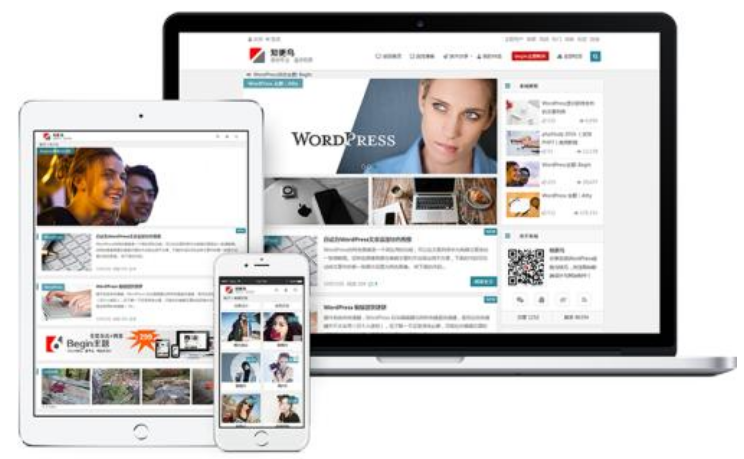 WordPress免费和付费主题的区别 应该怎么选？