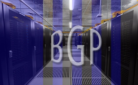 美国BGP服务器如何确保网络的安全性?