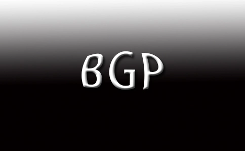 美国BGP服务器如何确保网络的安全性?