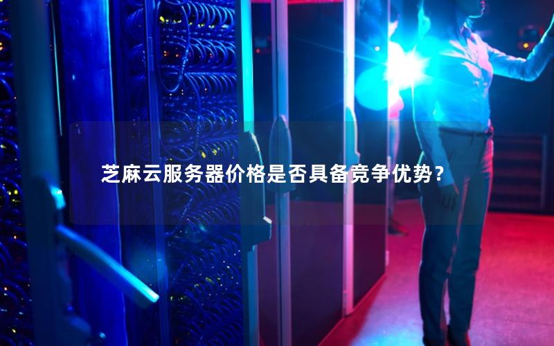 芝麻云服务器价格是否具备竞争优势?