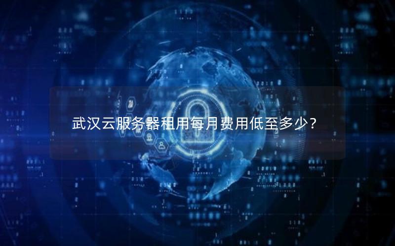 武汉云服务器租用每月费用低至多少?