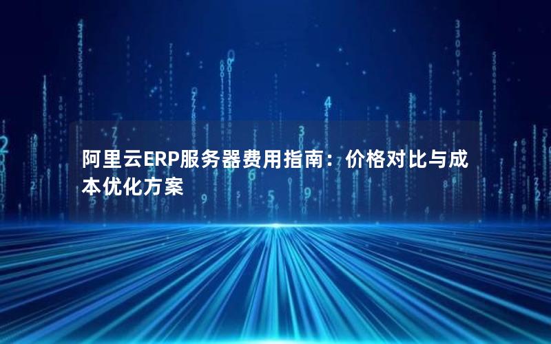 阿里云ERP服务器费用指南：价格对比与成本优化方案