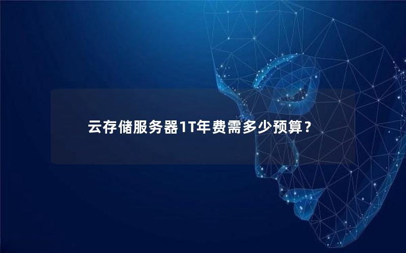 云存储服务器1T年费需多少预算？