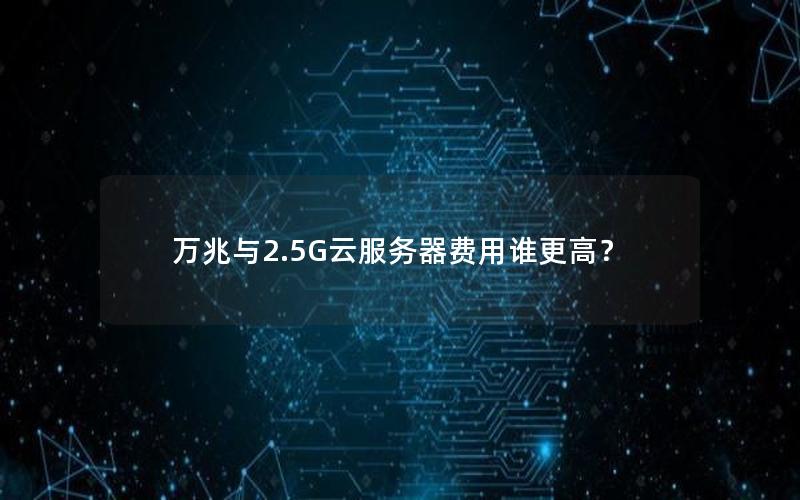 万兆与2.5G云服务器费用谁更高？
