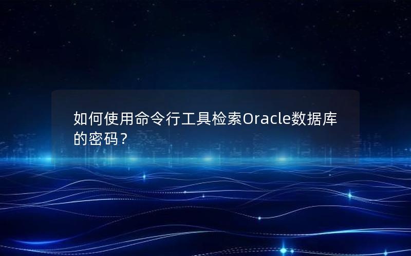 如何使用命令行工具检索Oracle数据库的密码？