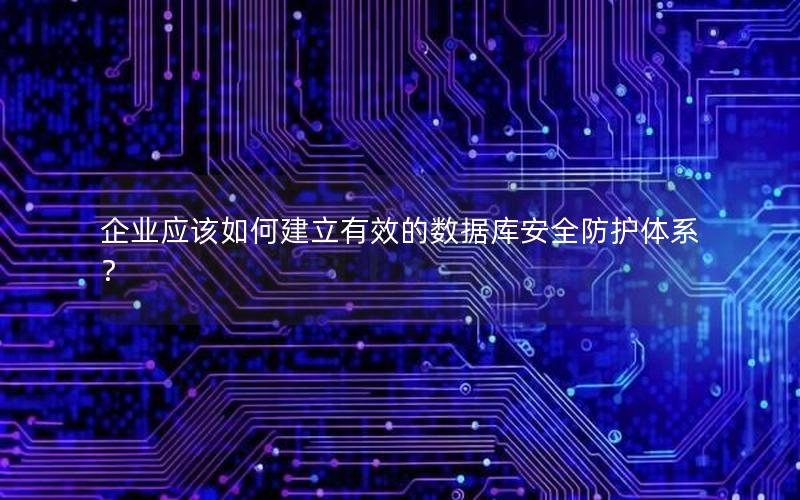 企业应该如何建立有效的数据库安全防护体系？