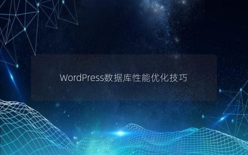 WordPress数据库性能优化技巧