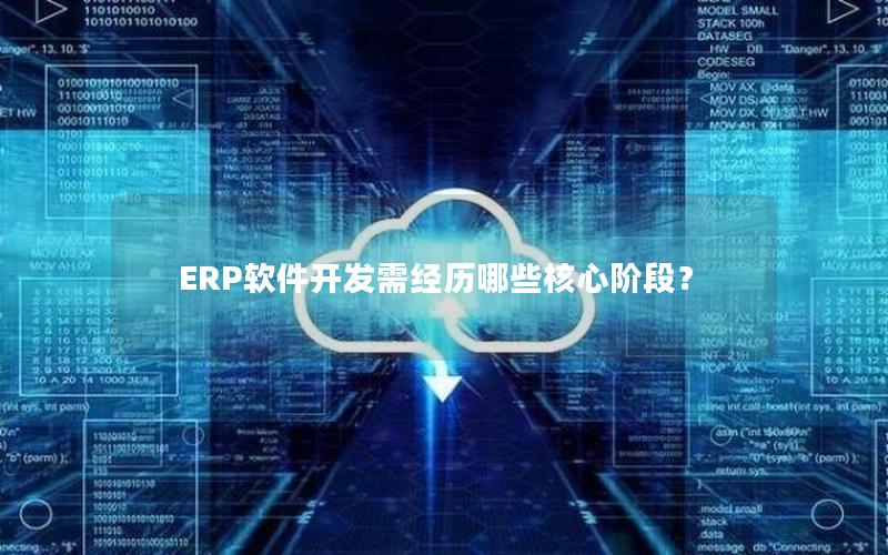 ERP软件开发需经历哪些核心阶段？