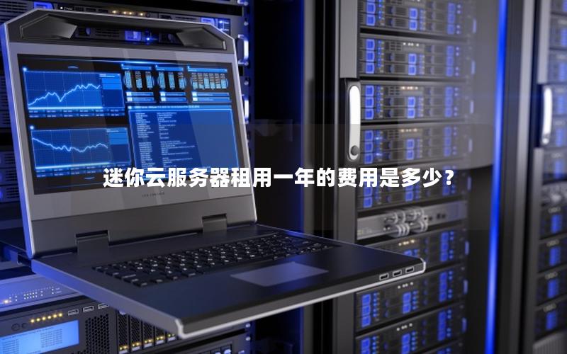 迷你云服务器租用一年的费用是多少？