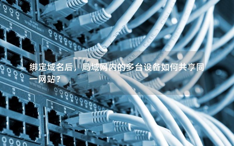 绑定域名后，局域网内的多台设备如何共享同一网站？