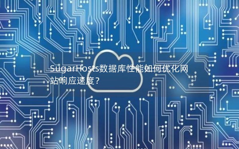 SugarHosts数据库性能如何优化网站响应速度？