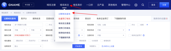 过期域名查询攻略 让您轻松发现隐藏瑰宝
