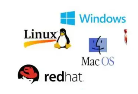 网站服务器系统用哪个好？