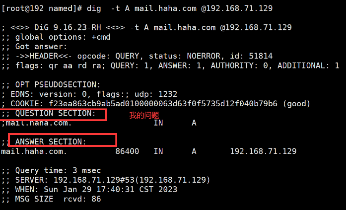 linux怎么查询解析的dns服务器?