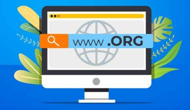 .org域名表示什么意思？.org域名有价值吗