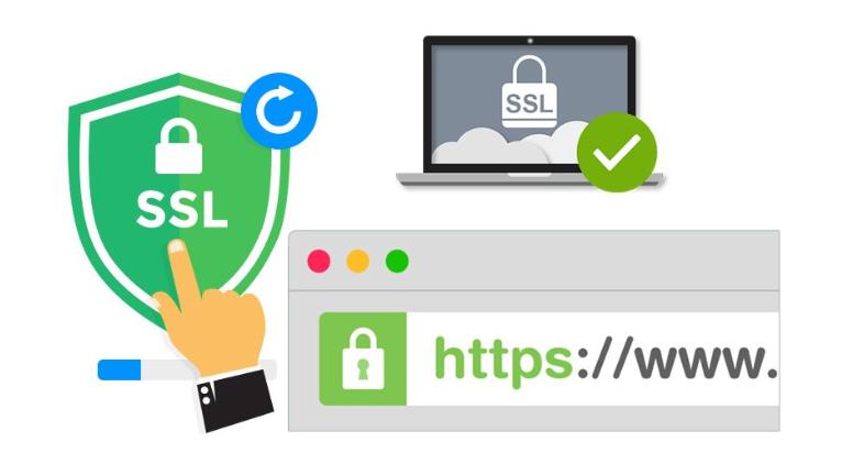 Globalsign数字证书一年多少钱