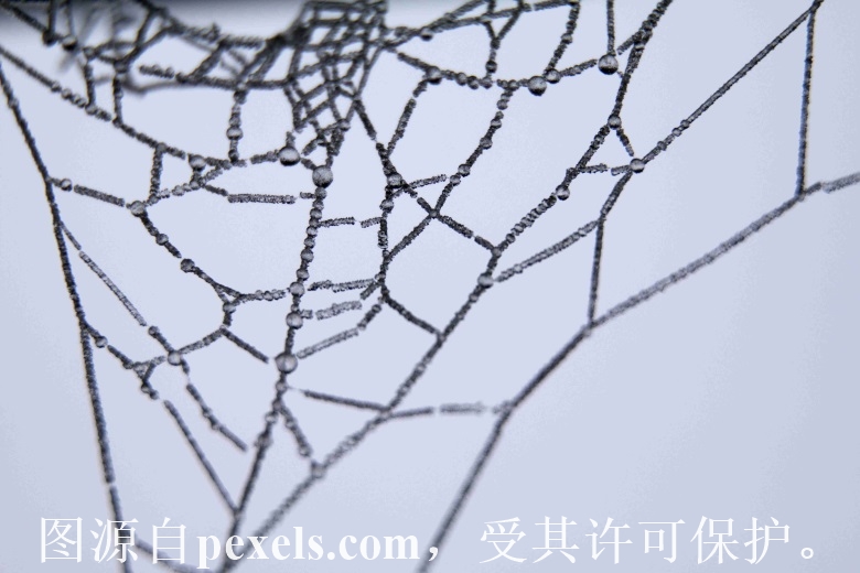 域名解析无DNS-其他问题