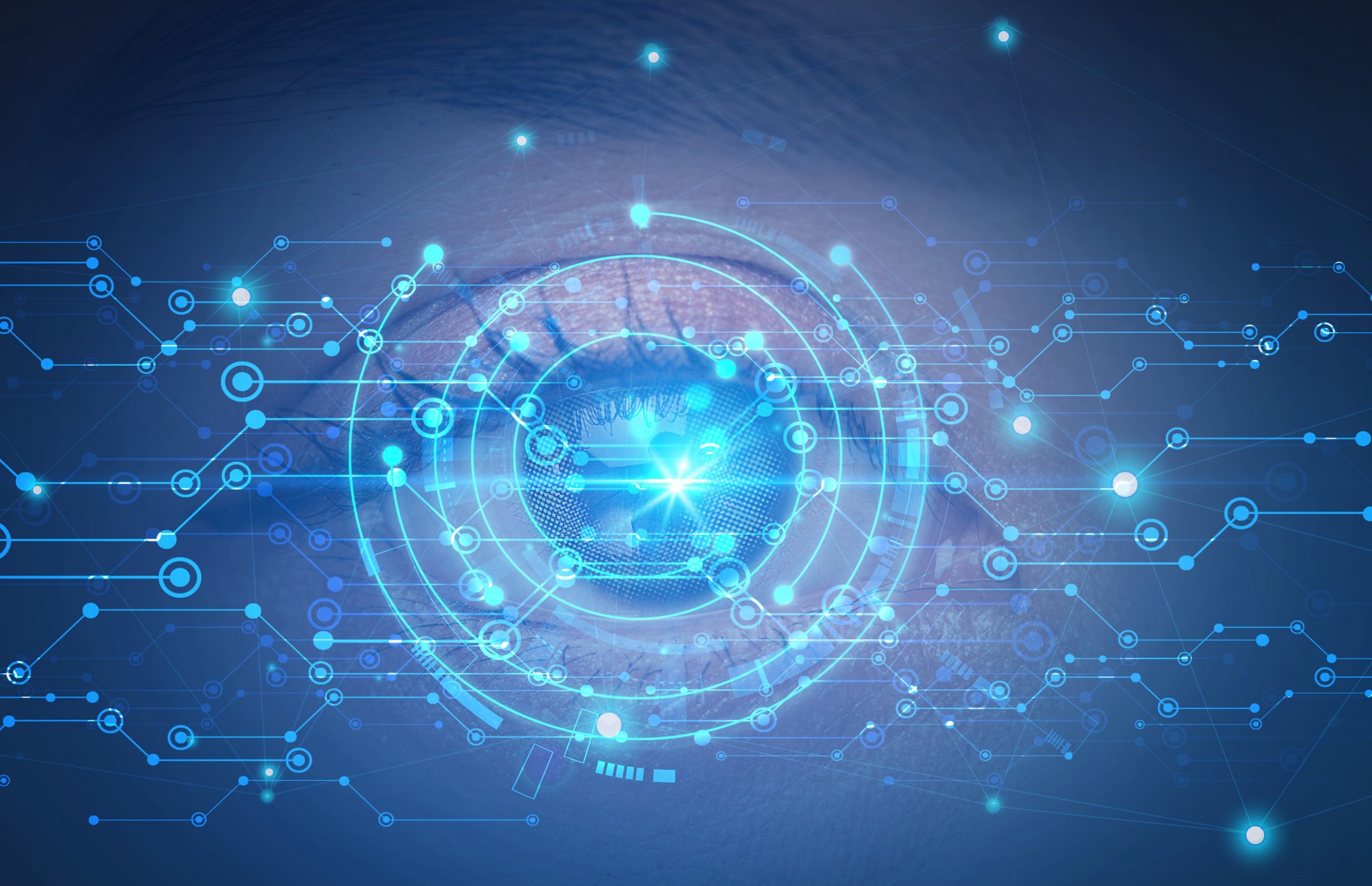 专家畅谈2025年的网络安全格局