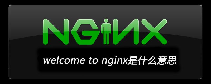 welcome to nginx是什么意思