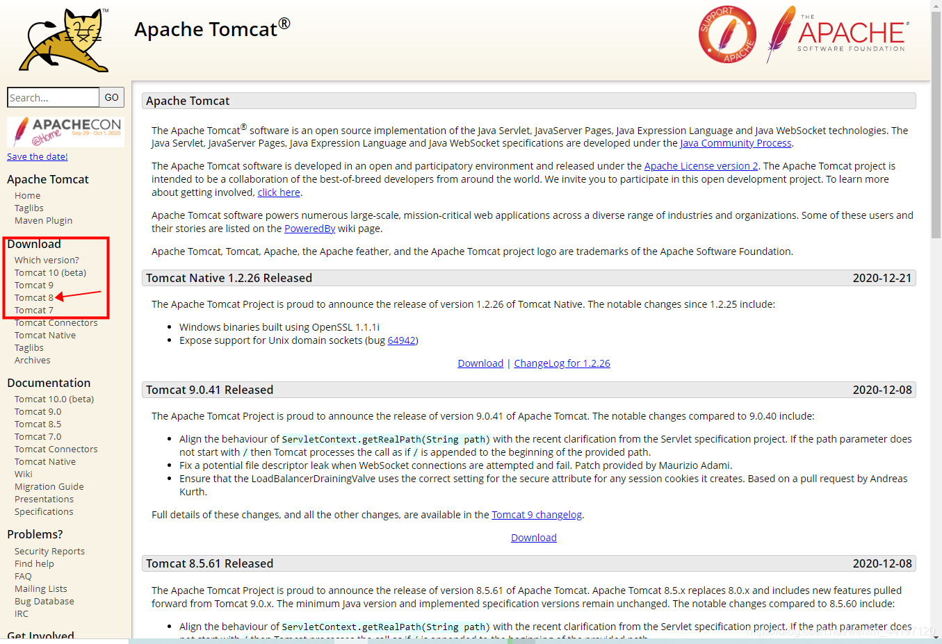 在IDEA 2025.3.1中部署Tomcat并且创建第一个web项目的过程详解