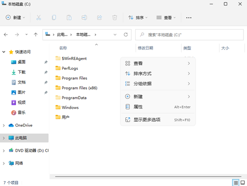 Win11如何查看所隐藏的文件?Win11查看隐藏的文件的方法