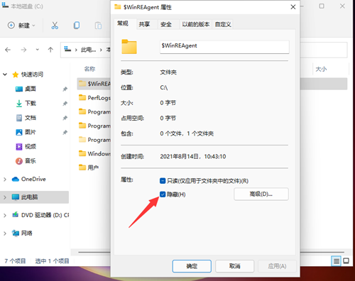 Win11如何查看所隐藏的文件?Win11查看隐藏的文件的方法