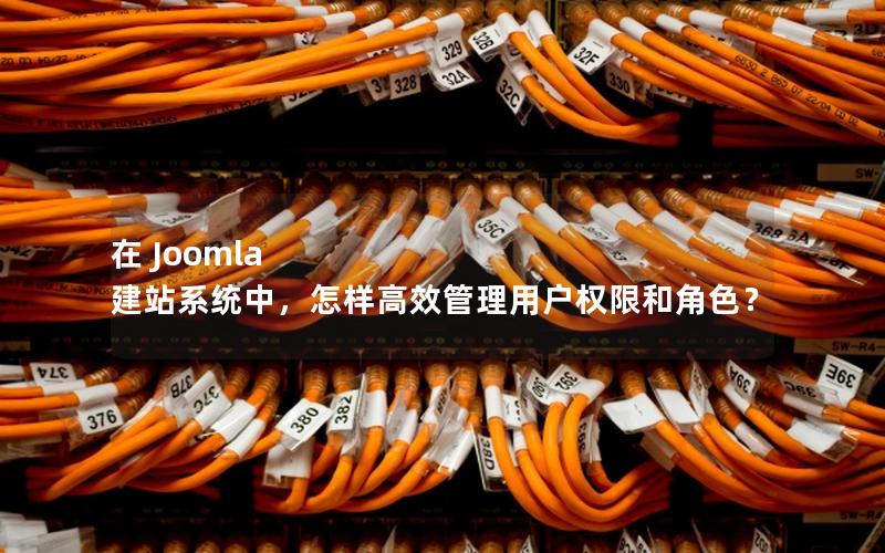 在 Joomla 建站系统中,怎样高效管理用户权限和角色?