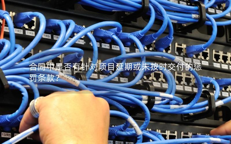 合同中是否有针对项目延期或未按时交付的惩罚条款？