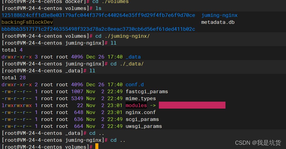 Docker匿名挂载和具名挂载的具体使用