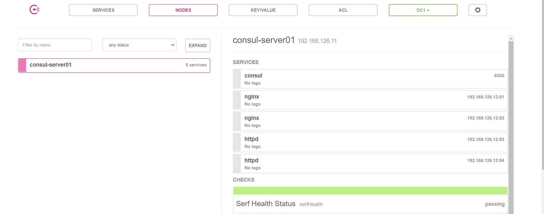Docker Consul概述以及集群环境搭建步骤(图文详解)