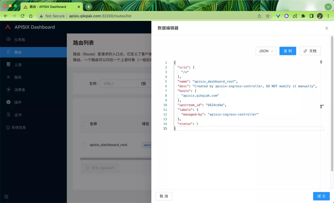 一篇带给你Apache APISIX 初体验