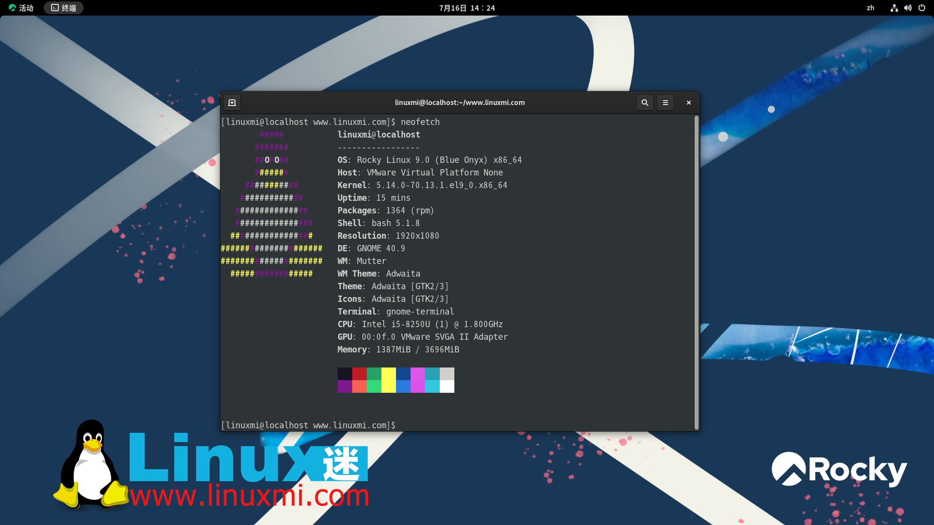 六个优秀企业 Linux 服务器发行版