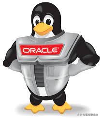 Oracle Linux 能否成为企业级 CentOS 的替代品?