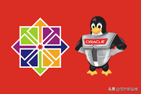 Oracle Linux 能否成为企业级 CentOS 的替代品?