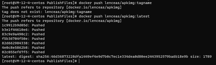 Linux系统Docker 部署 ASP.NET Core应用的流程分析