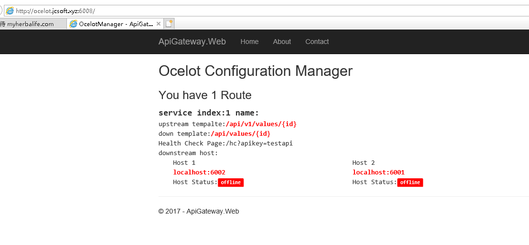 详解给Ocelot做一个Docker镜像