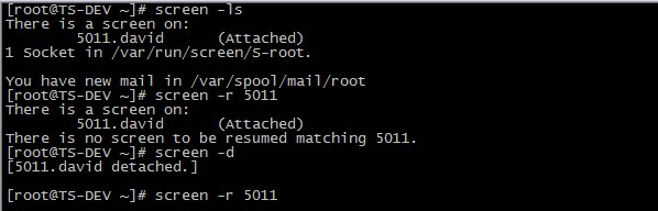 linux中 关于screen 的命令详解