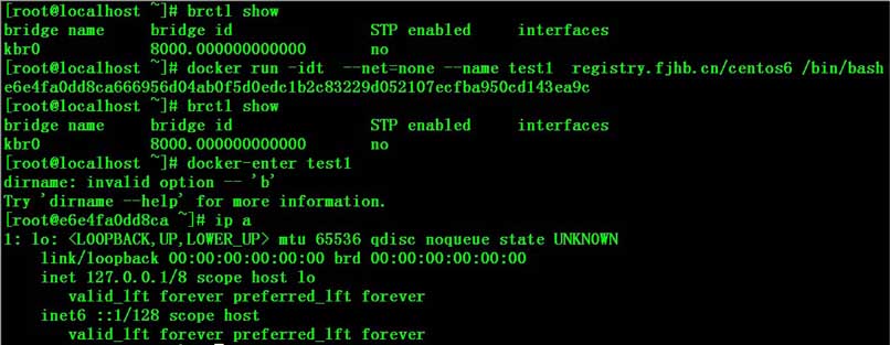 Docker容器固定IP分配详解