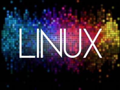 如何在Linux上安装密码管理器1Password？