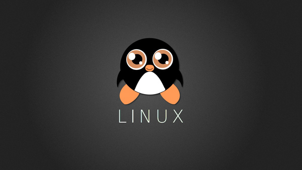 安装 Linux,只需三步