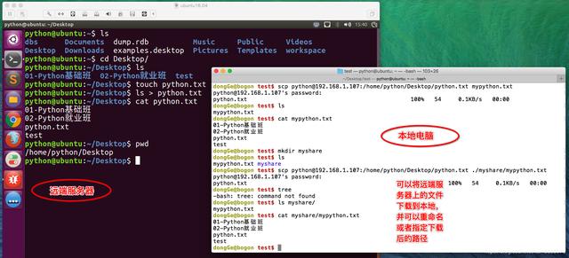 Linux 常用服务器之FTP、SSH