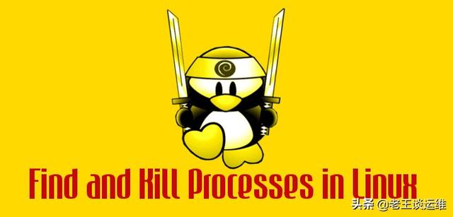 还在担心服务器进程被OOM?只需一招,即可避免