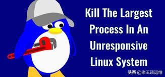 还在担心服务器进程被OOM?只需一招,即可避免