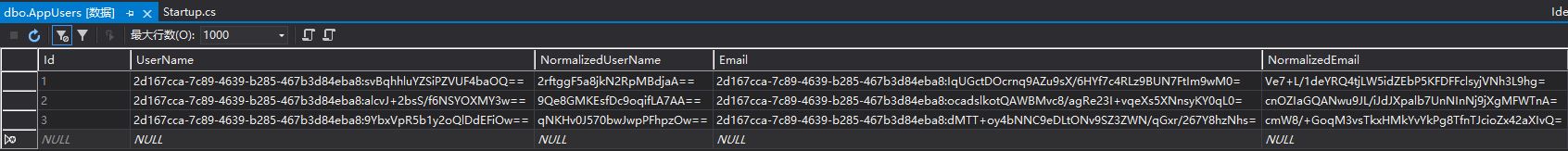 Asp.Net Core Identity 隐私数据保护的实现