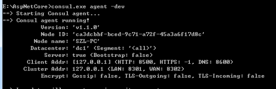 详解在Windows下如何使用AspNetCore Api 和consul