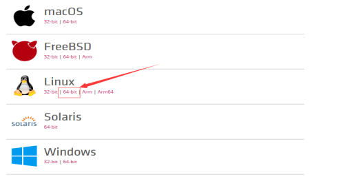 详解CentOS 7.4下如何部署Asp.Net Core结合consul